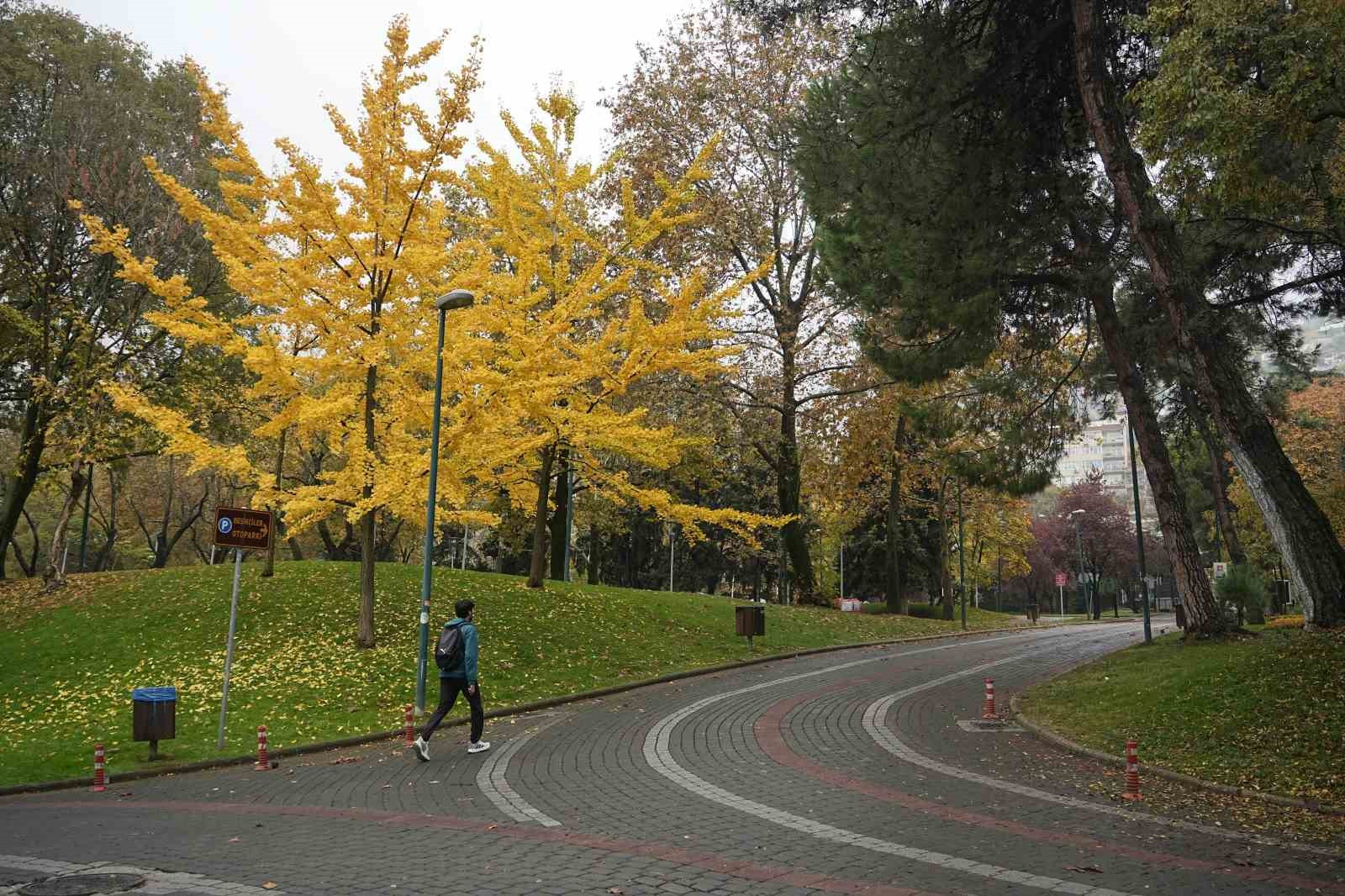 Bursa'nın kalbinde son bahar manzarası