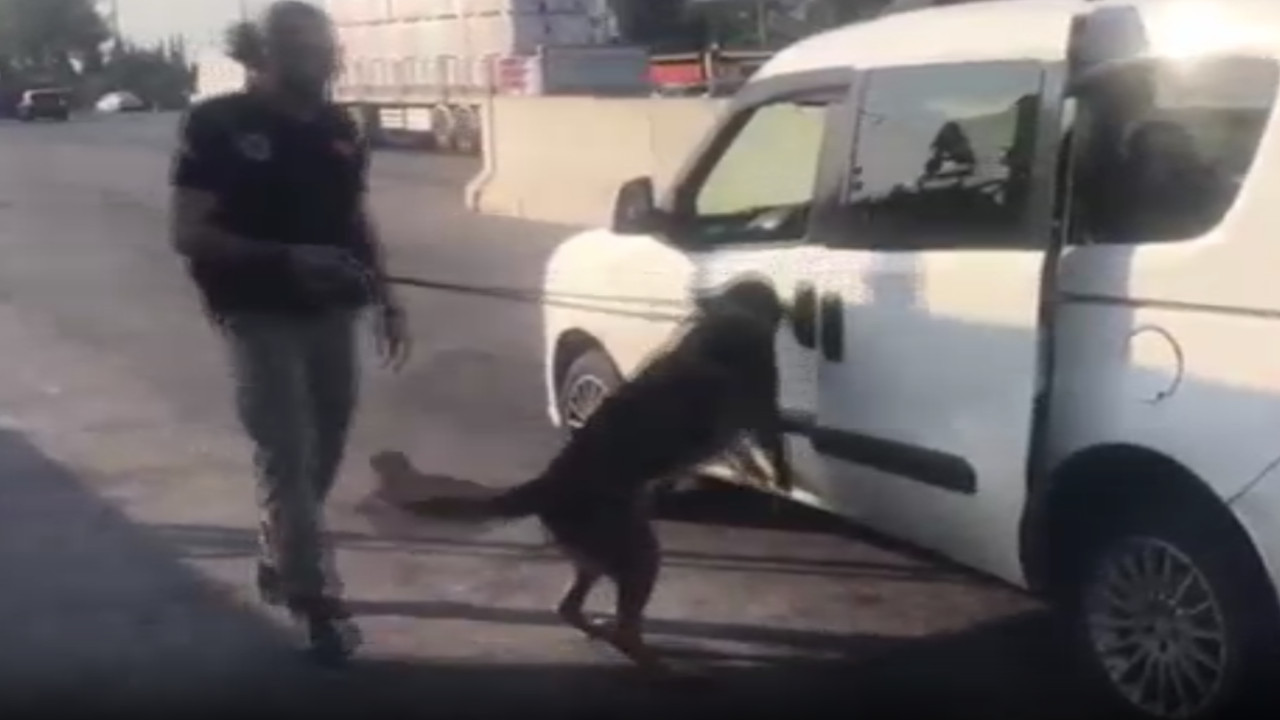 Otomobile saklanan uyuşturucuyu narkotik köpeği 'Aşil' buldu