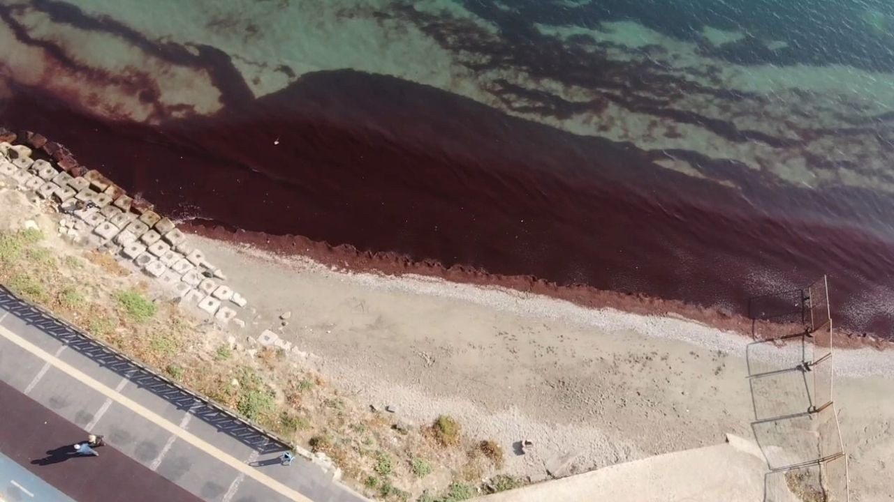 Poyraz esti, Tekirdağ sahili kırmızıya döndü