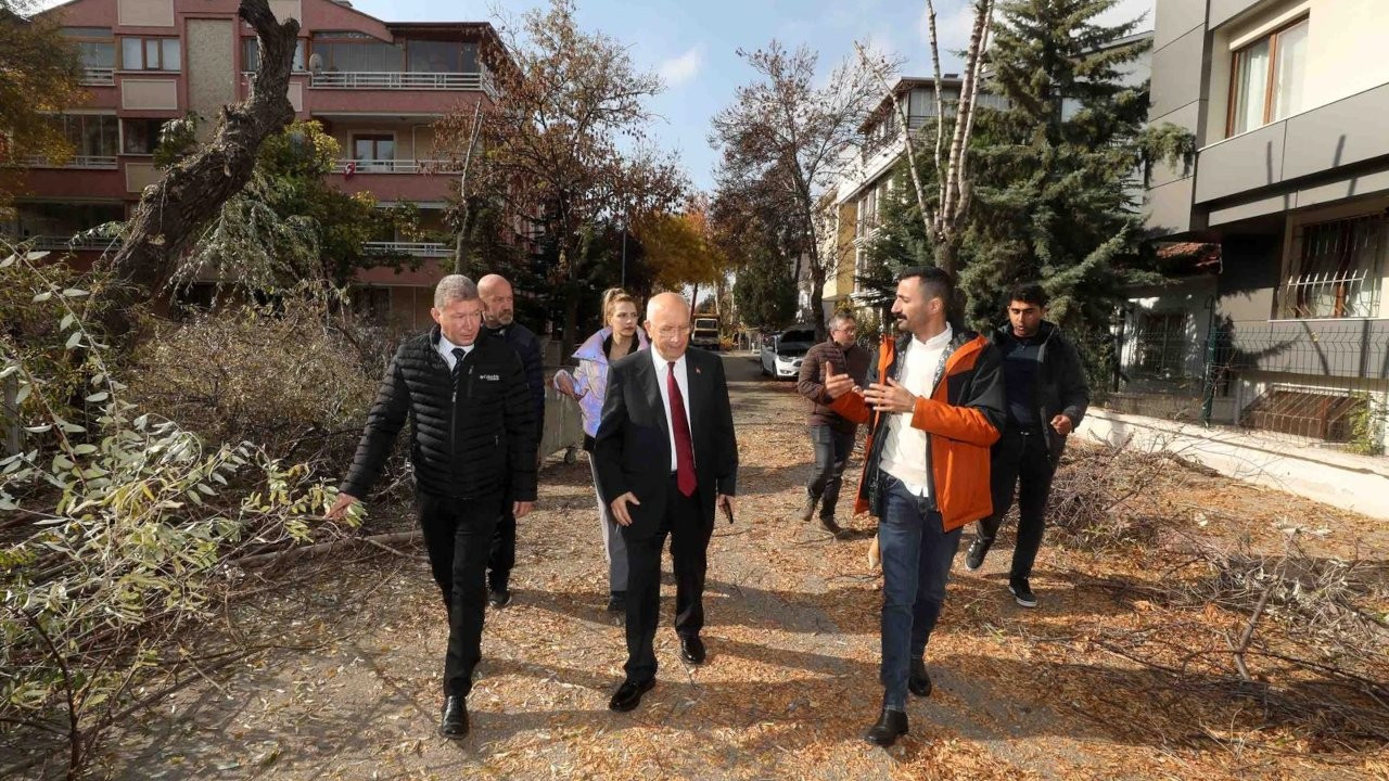 Yenimahalle'de budanan ağaçlar yeniden değerlendiriliyor