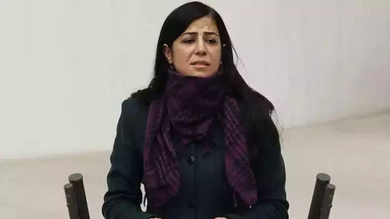 Ayla Akat Ata: Erdoğan 'süreci buzdolabından çıkardım' demedi