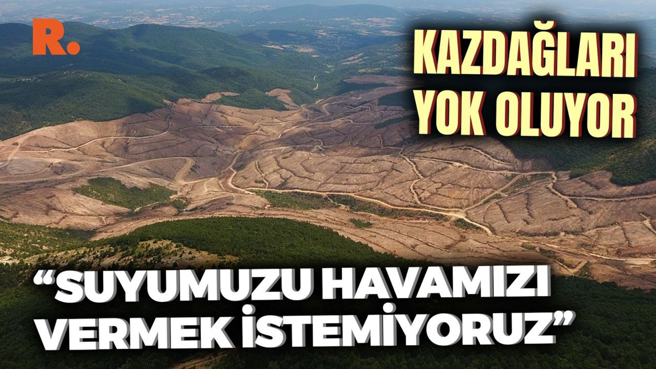 Kazdağları'nın yardım çığlığı: Bizim gidecek başka yerimiz yok