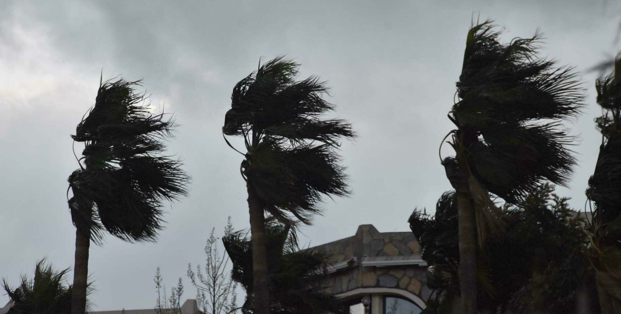 Meteoroloji'den sarı kodlu kar, buzlanma, don ve fırtına uyarısı - Sayfa 4