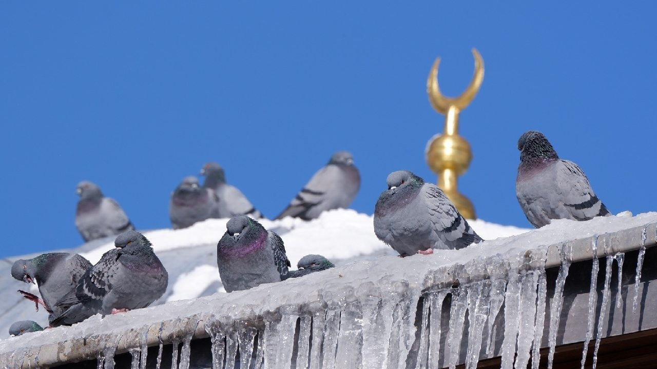 Erzurum dondu, termometreler -18’i gösterdi