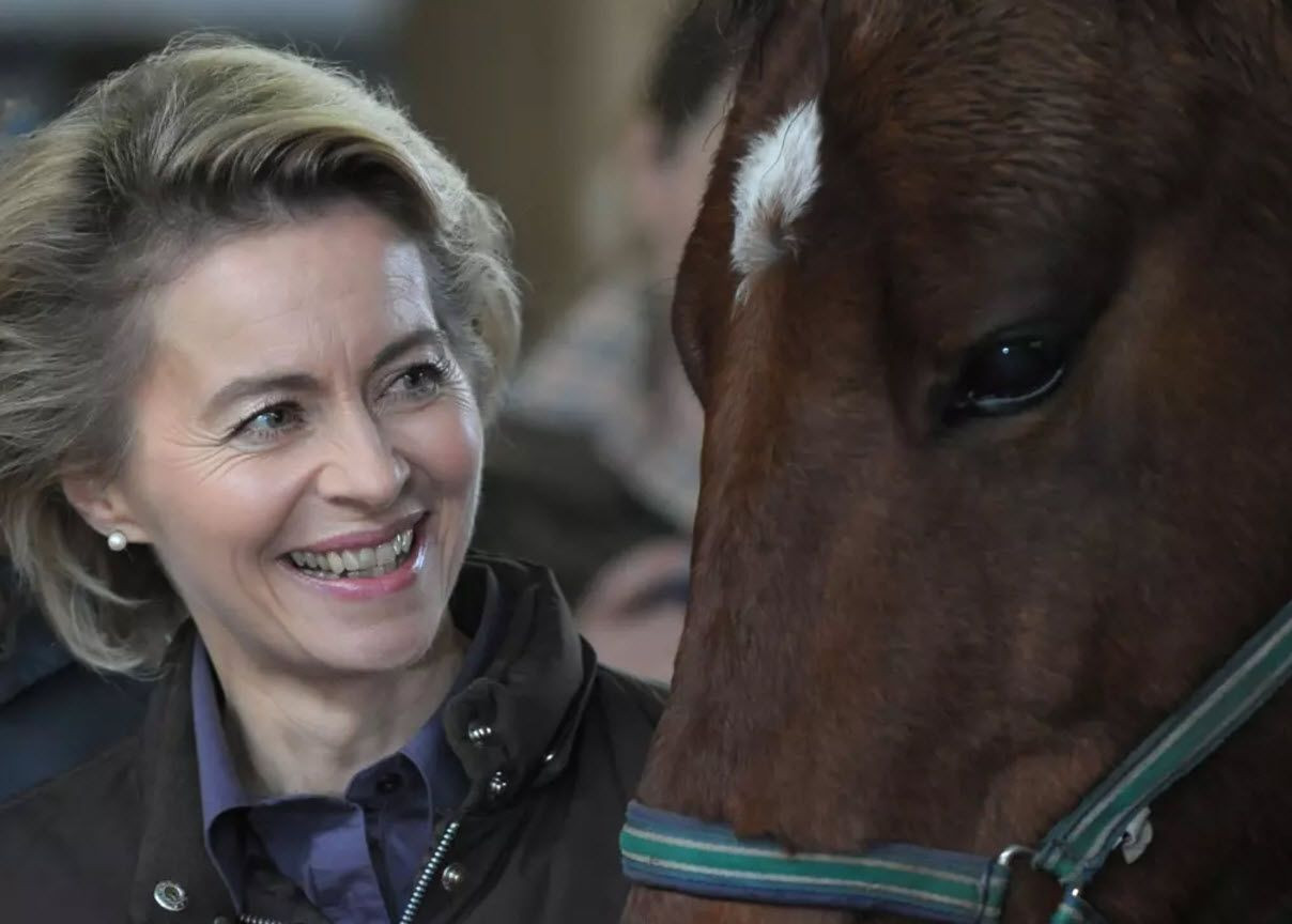 Ursula von der Leyen'in parçalanan atı, Avrupa'da kurt avının önünü açtı - Sayfa 4