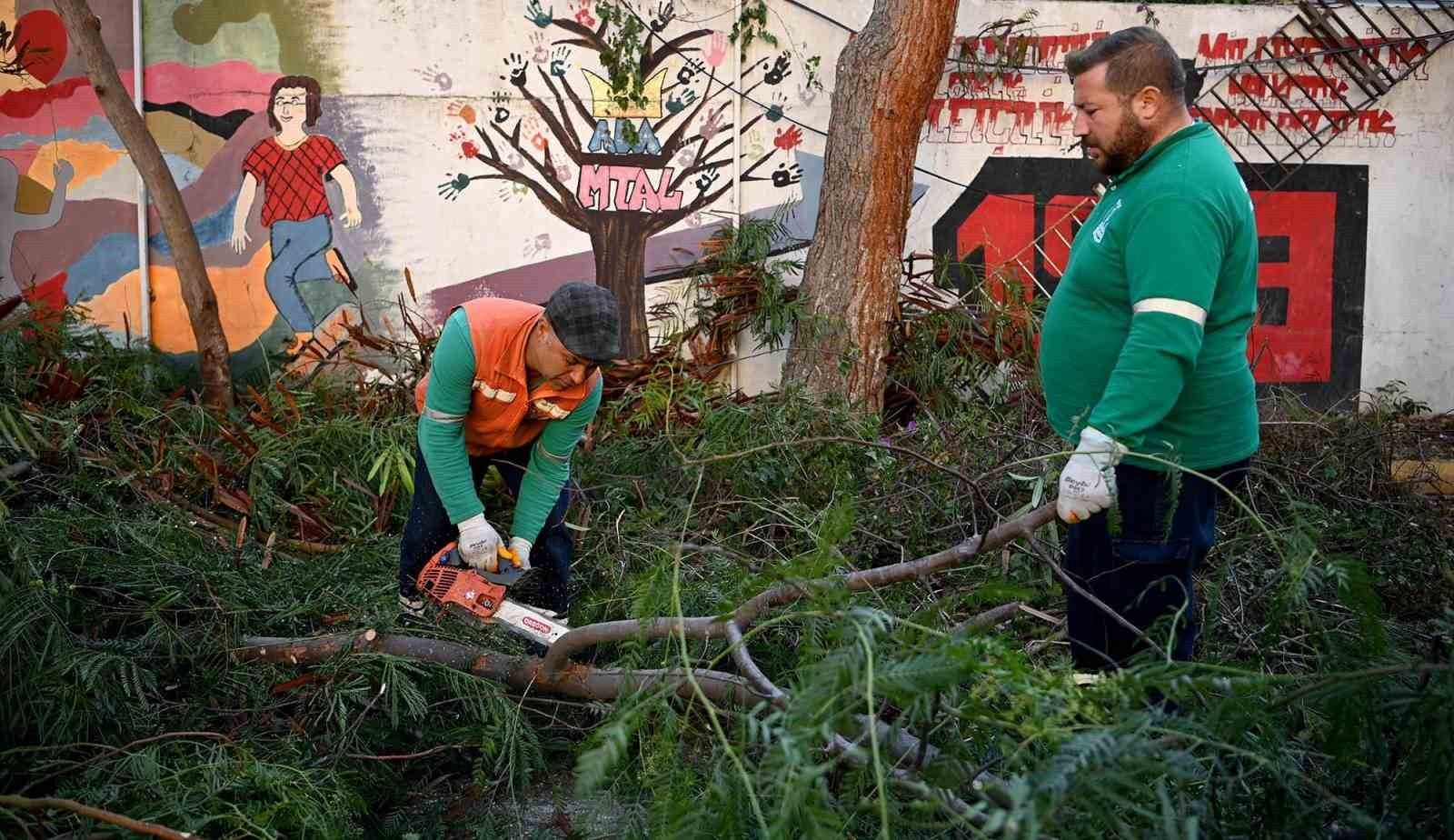 Kuşadası’nda ağaç atıkları yakacağa dönüşüyor