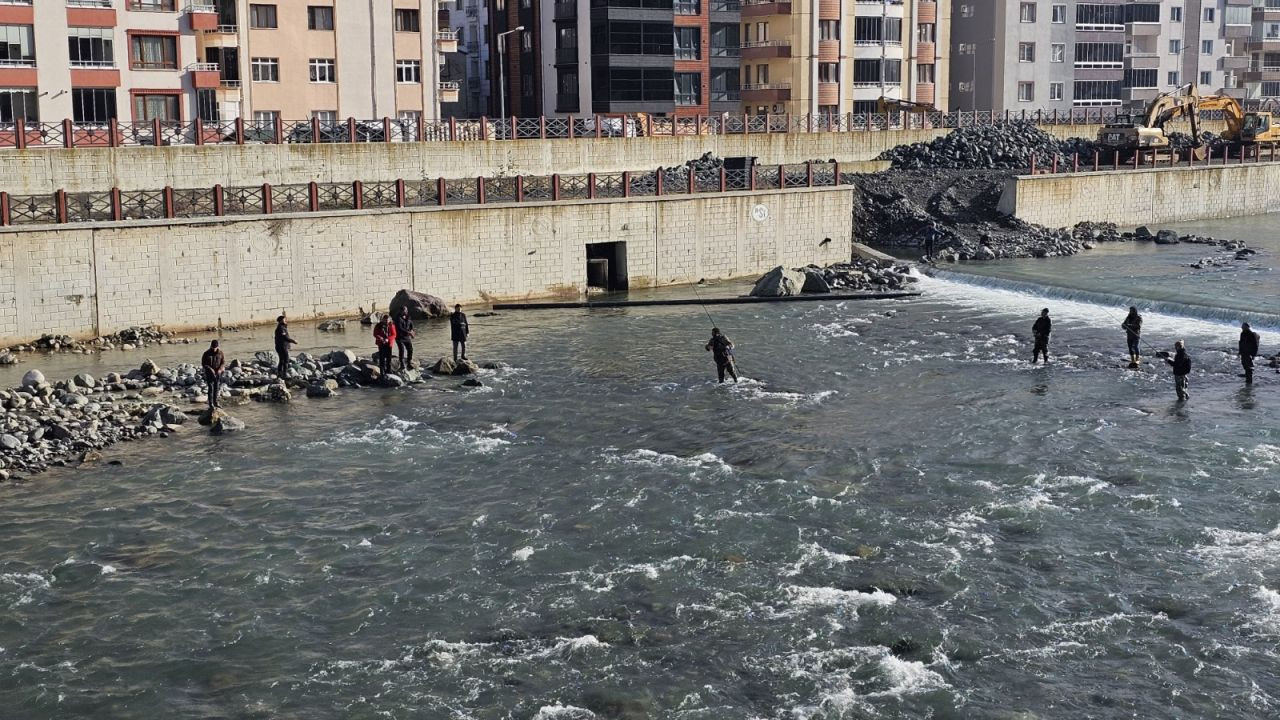 Çiflikteki kafes patladı: Derede 'çuval çuval' somon avı başladı - Sayfa 2