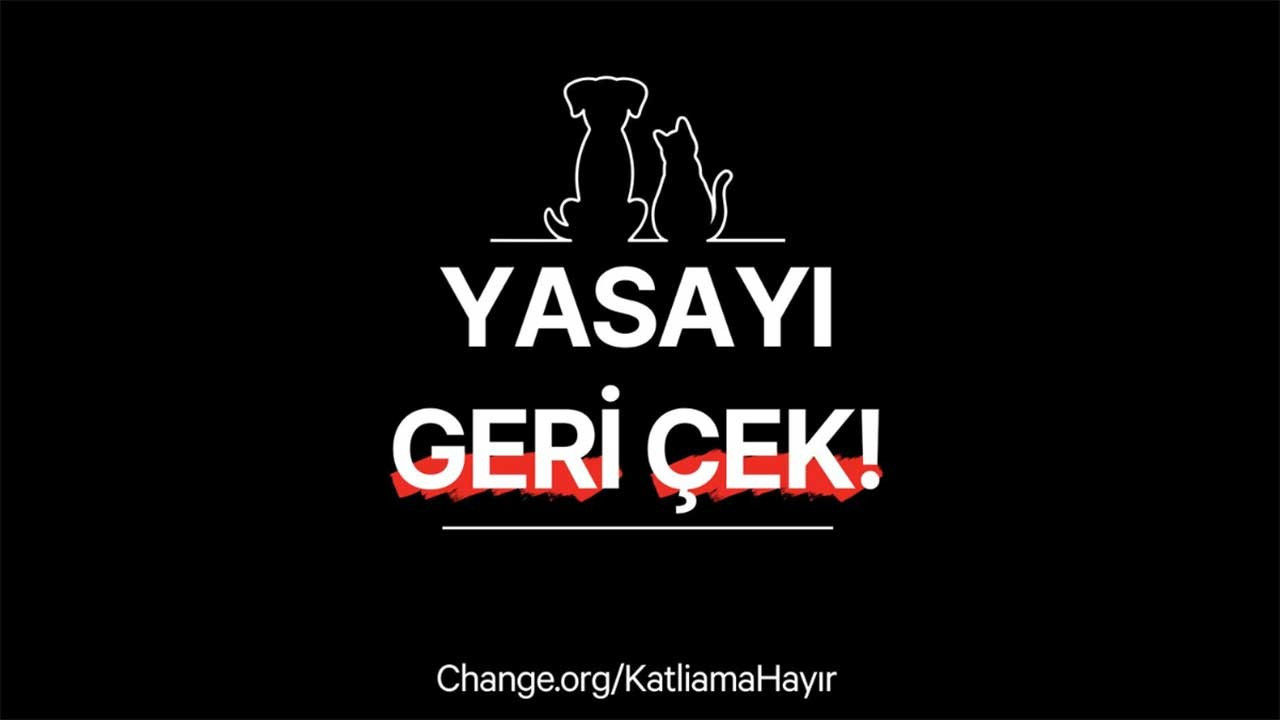 Change.org Türkiye’de en fazla imzalanan kampanya 'Yasayı Geri Çek'