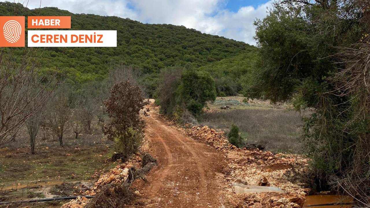 Kaş'ta ormana maden sahası için ÇED verildi, 5 köy itiraz etti: 'Sıra Gökçeyazı'da mı?'