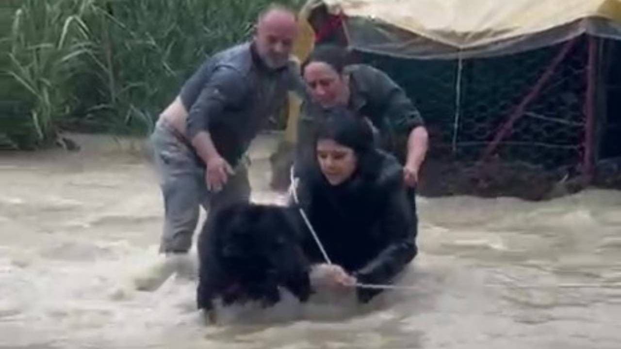 Selde kafesin içinde mahsur kalan köpeği kurtardılar