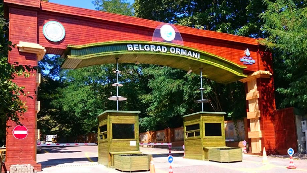 İBB'ye Belgrad Ormanları’nda şafak tahliyesi: Çevik kuvvet gönderildi