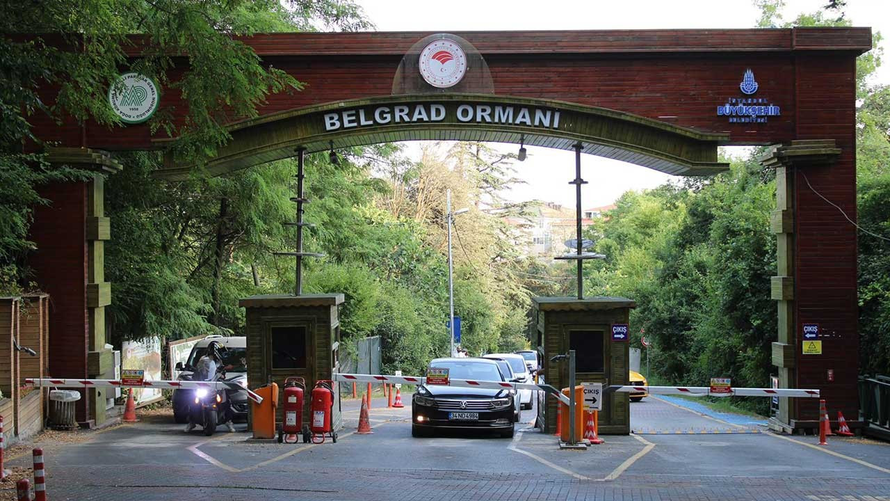 CHP'li Gökan Zeybek: Belgrad Ormanı yok olma tehlikesine girecek