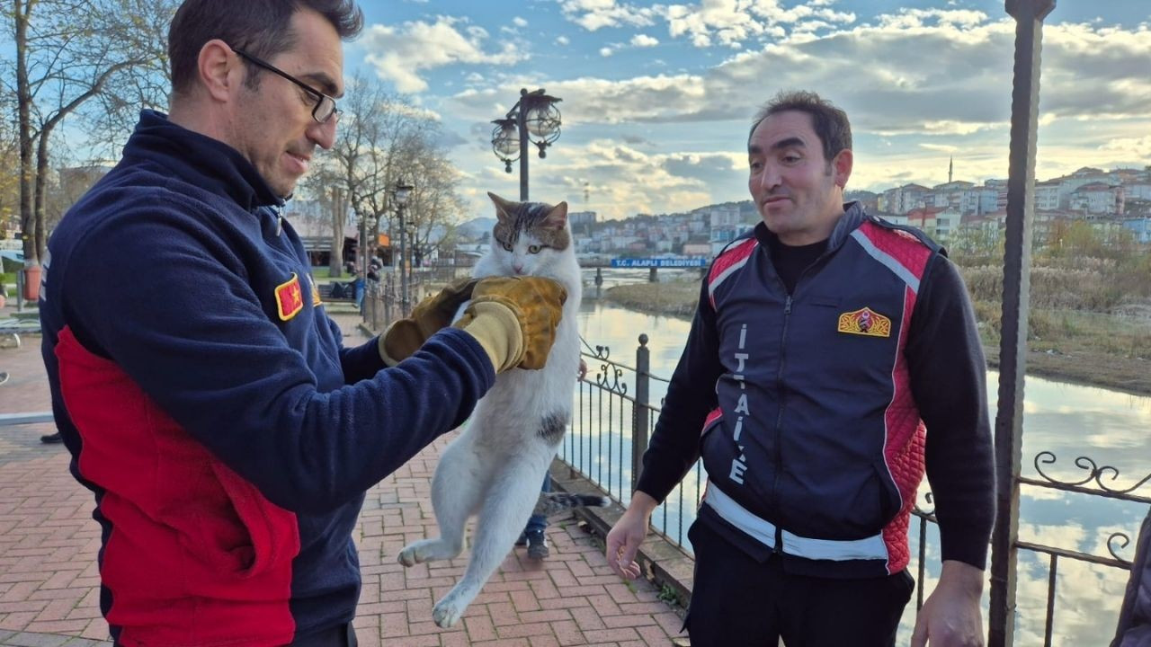 Bir ayda 3 kez çaya düşen kedi kurtarıldı: Her seferinde ayrı macera