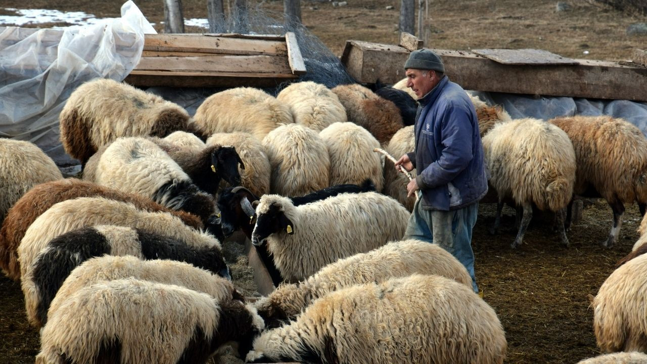 'İstanbul beni boğdu' dedi, 8 çocuğuyla birlikte köyünü döndü