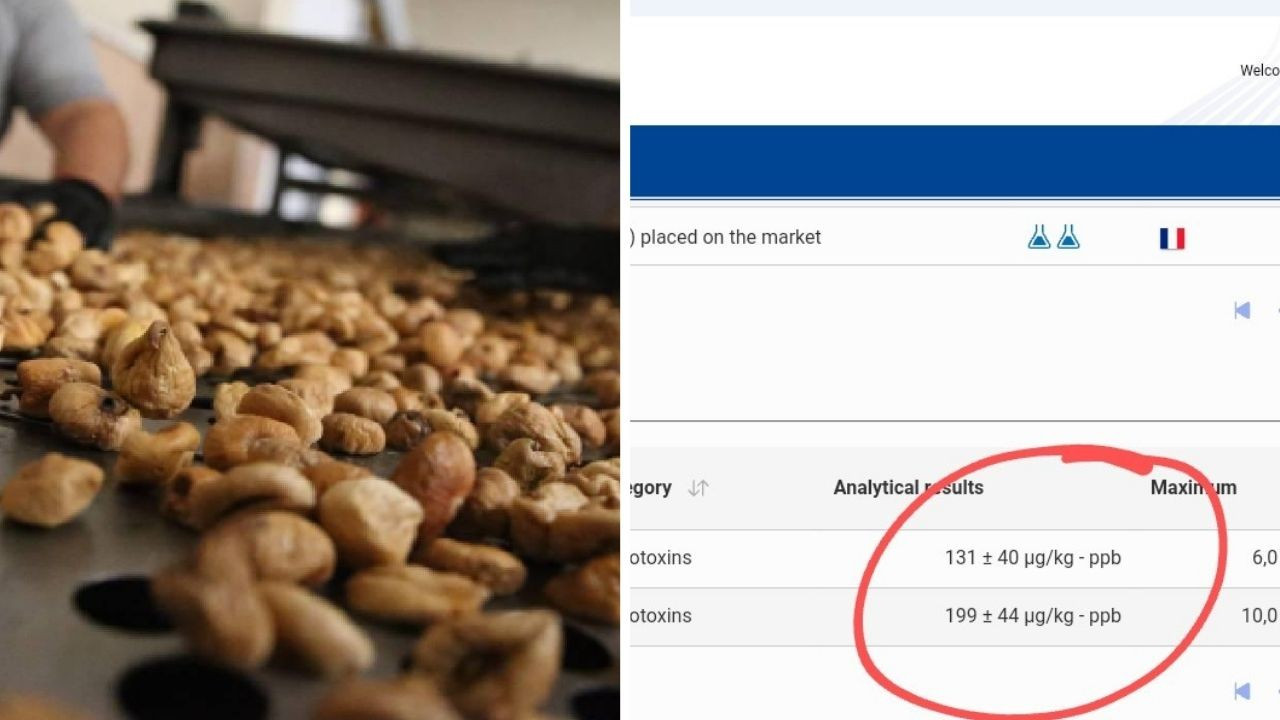 Yanlış okumadınız: Fransa'dan dönen incirde 20 kat zehir çıktı