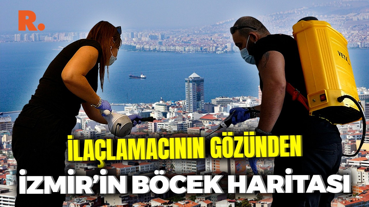 İzmir’in böcekleri: Hangi semtte hangi tür yaygın?