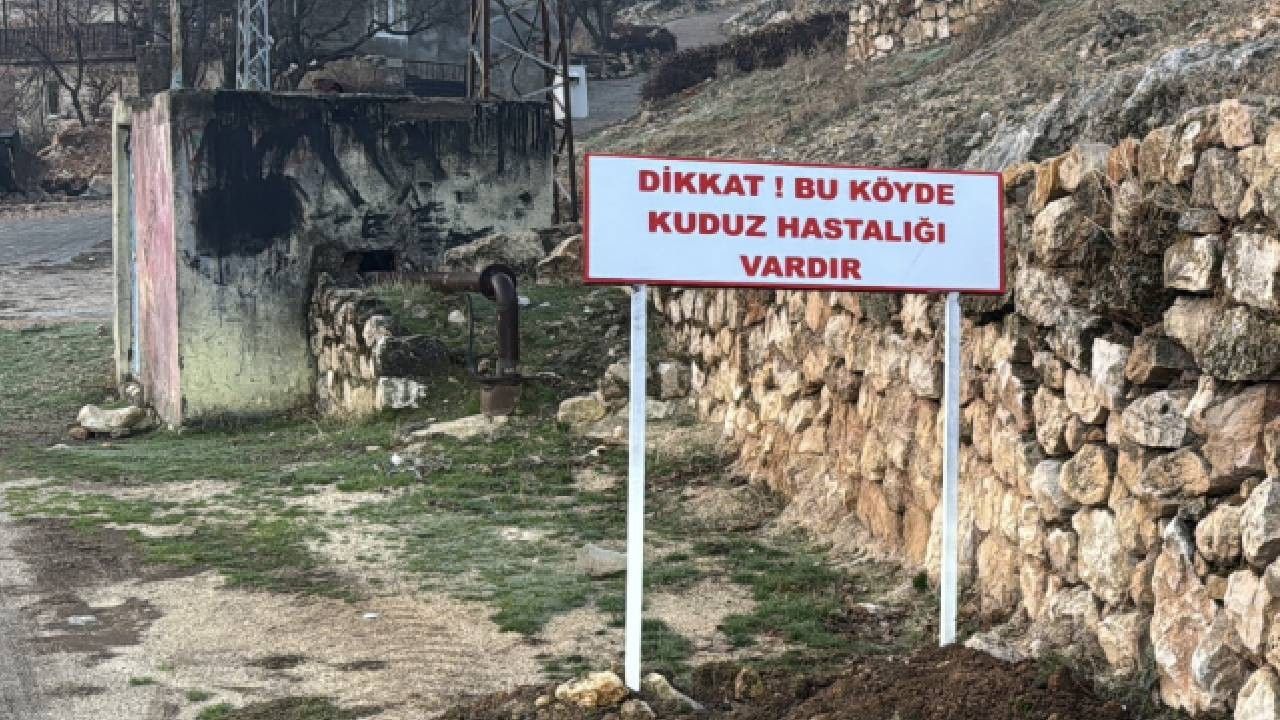 Adıyaman'da bir köy kuduz nedeniyle karantinaya alındı