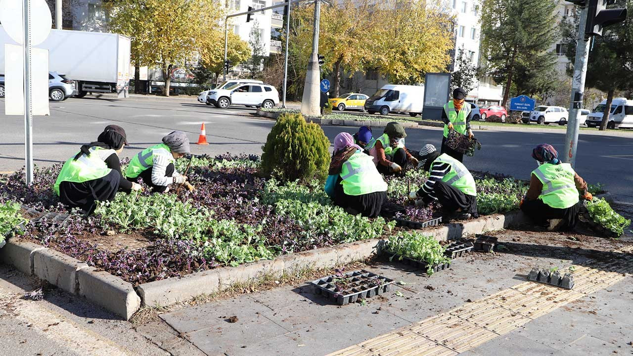 Diyarbakır yeşilleniyor: 1 milyon 152 bin bitki dikildi