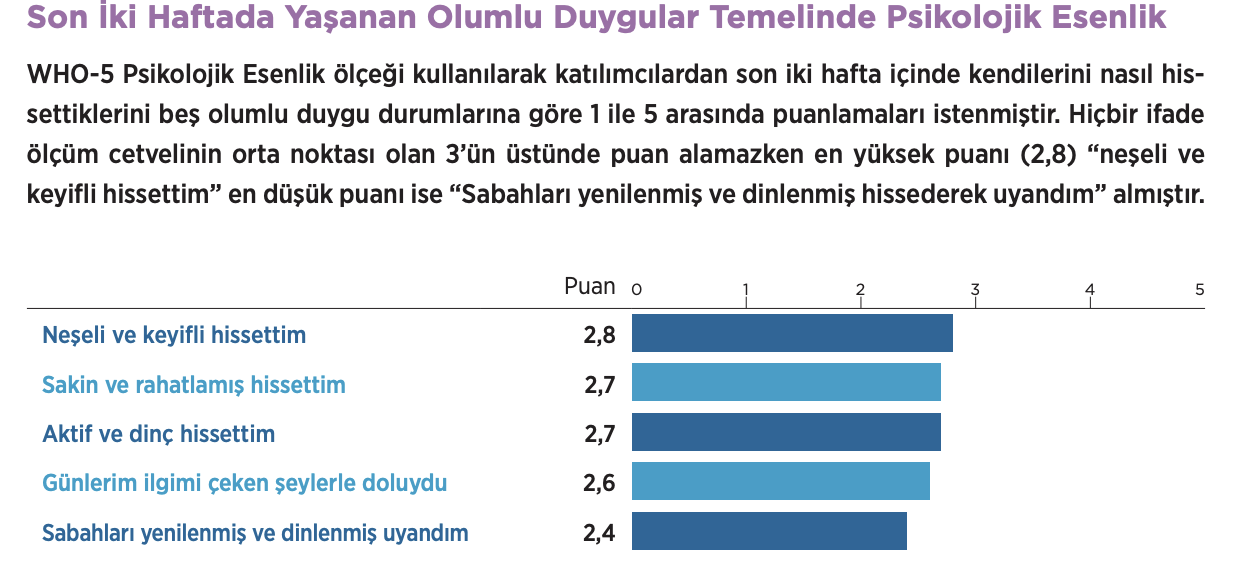 Araştırma: Türkiye'nin 2024'e puanı 'sıfır' oldu - Sayfa 4