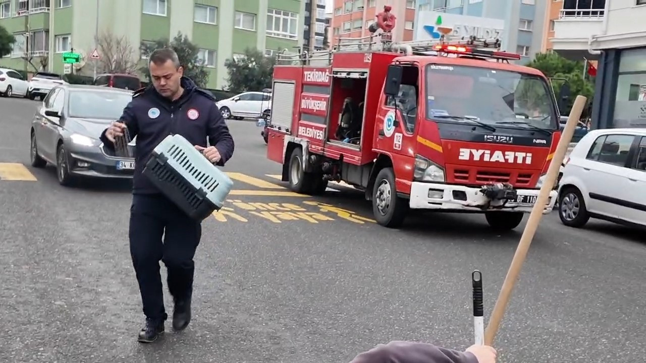 Aracın motoruna sıkışan kedi kurtarıldı