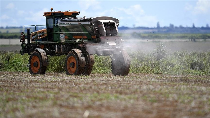 2025'in ilk 3 gününde 4 ürün gümrükten döndü: Pestisit, salmonella ve zehir çıktı - Sayfa 1