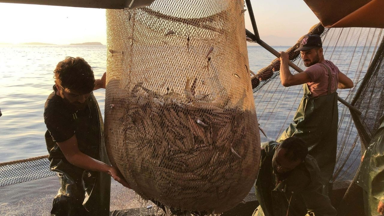 Lüferi beklemeyin... 'Denizin prensi' Marmara'ya gelmedi