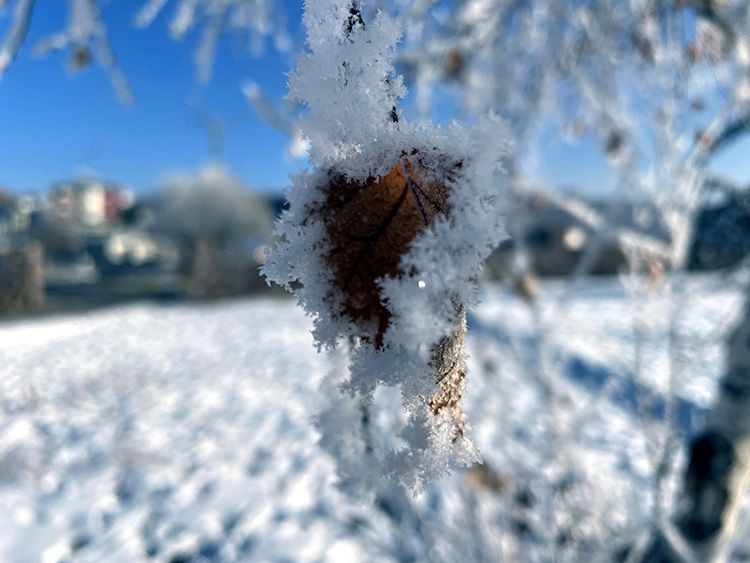 Meteoroloji'den sağanak yağış ve don uyarısı - Sayfa 4