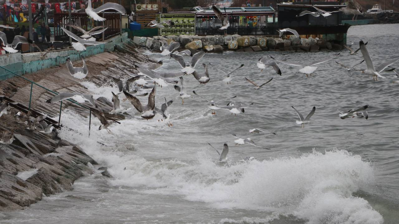 Tekirdağ'da deniz ulaşımına poyraz engeli