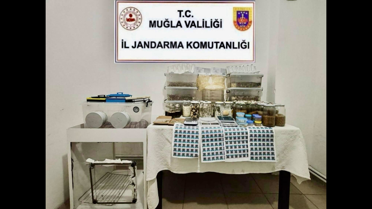 Muğla'da uyuşturucu operasyonu: 'Profesör' lakaplı zanlı tutuklandı