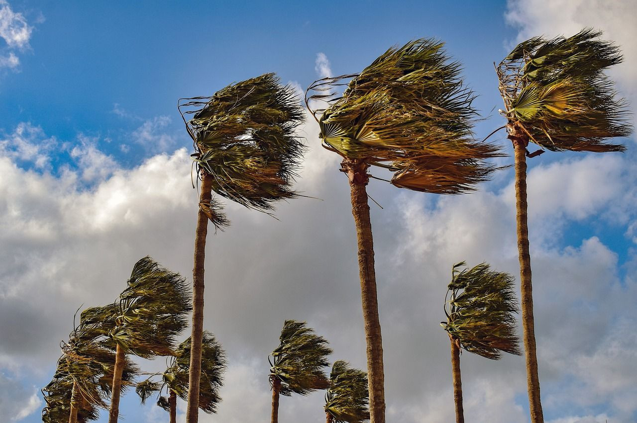 Meteoroloji'den 13 il için sarı kodlu kuvvetli sağanak uyarısı: İstanbul da var - Sayfa 4