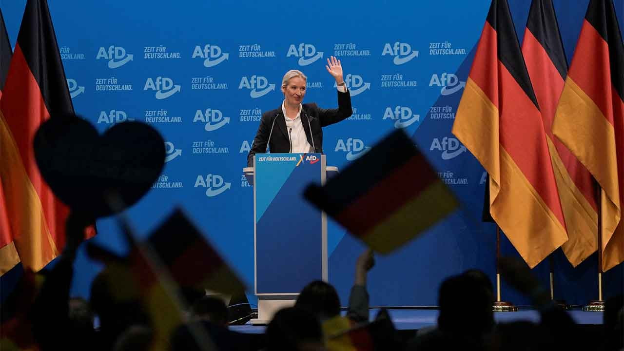 AfD'nin göç karşıtı vaatlerle dolu seçim programı