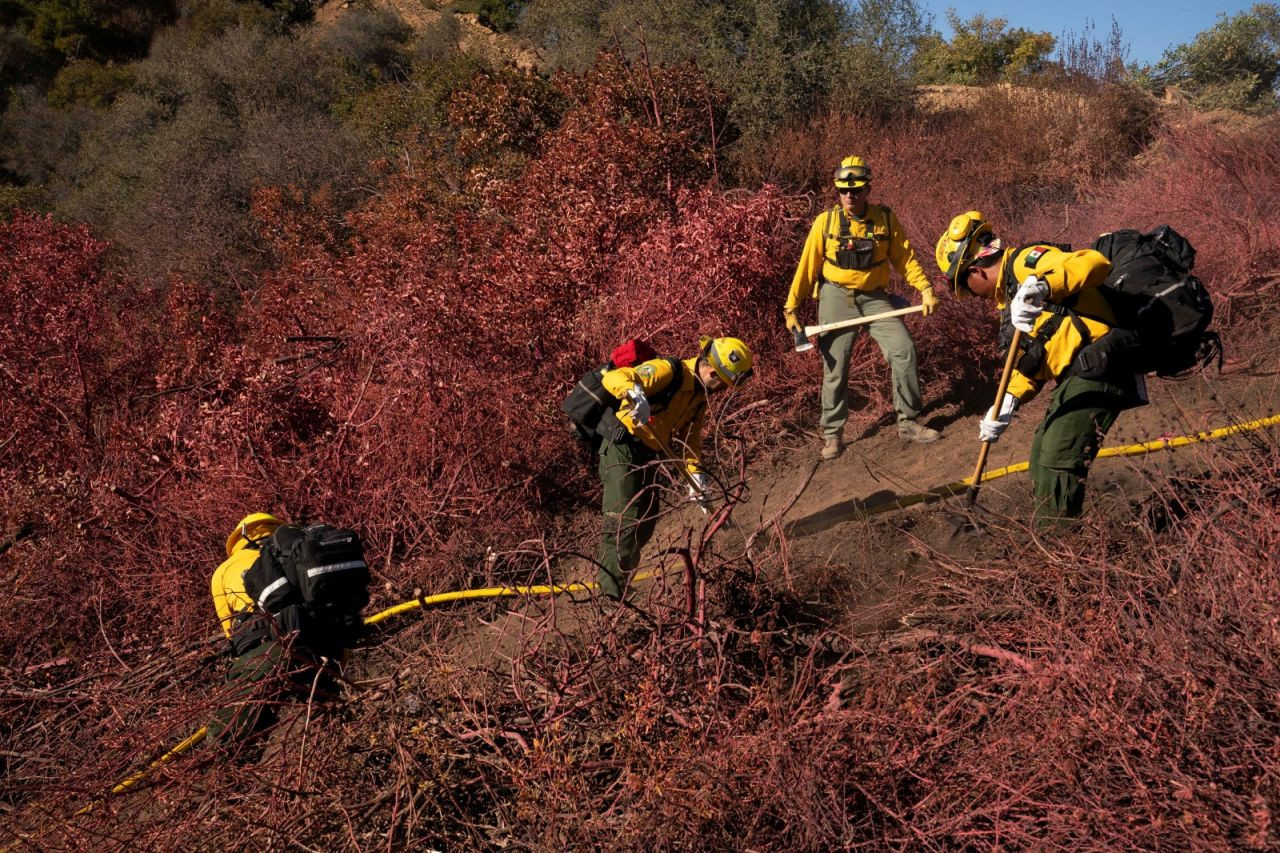 Orman yangınları devam ediyor: Los Angeles, neden pembeye boyandı? - Sayfa 4