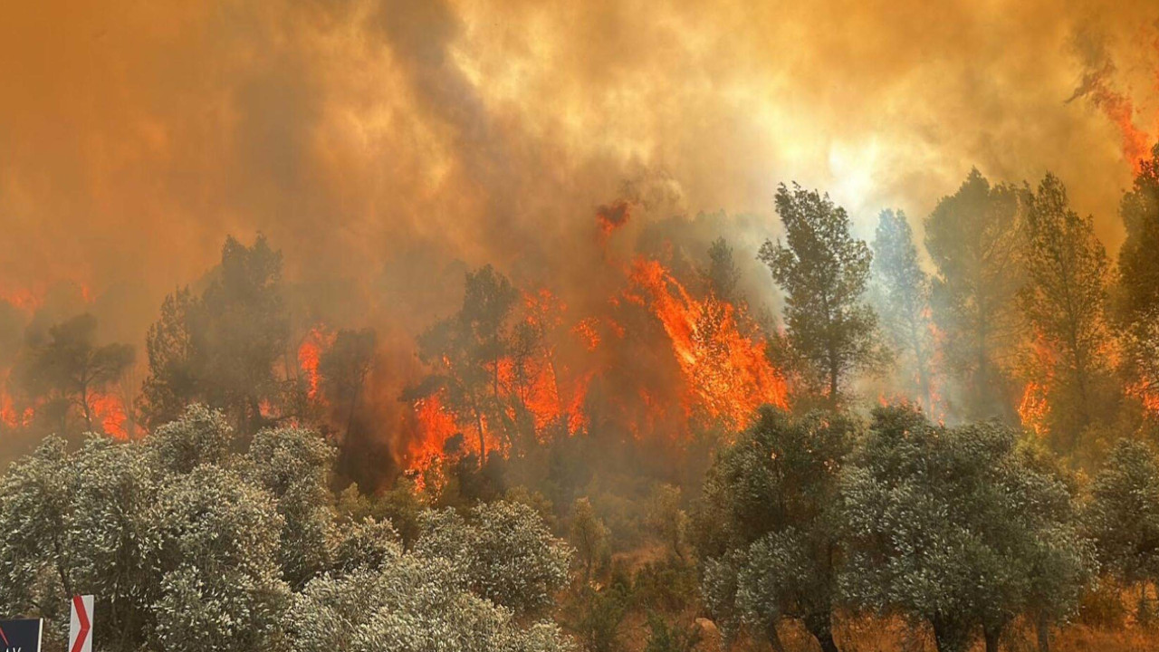 Muğla'da çıkan orman yangınlarının yarısından fazlası insan kaynaklı