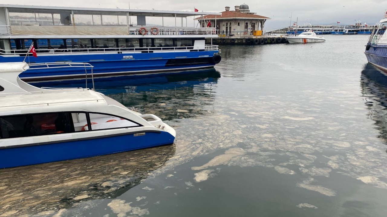 Marmara'ya yayılıyor: Müsilaj Kadıköy'e dayandı