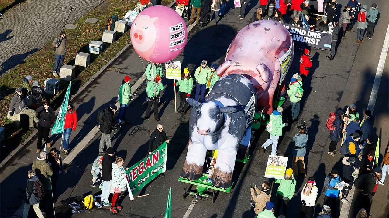 Berlin'de çiftçilerden protesto: 'Artık yeter'