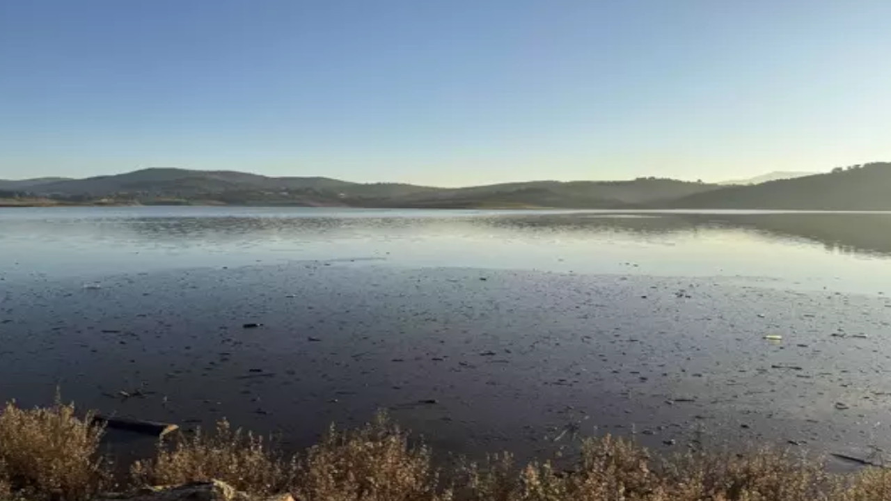 Bodrum'da 2 barajın su seviyesi son yağışlarla arttı