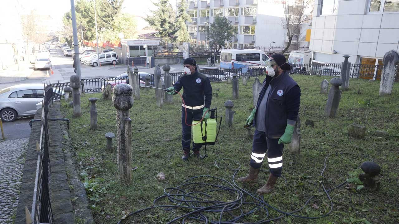 Trabzon'da tarihi mezar taşlarına koruma