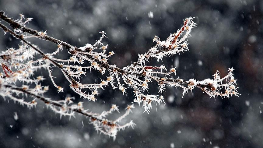 Uzmanlar açıkladı: La Nina geldi, hayatı nasıl etkileyecek? - Sayfa 3