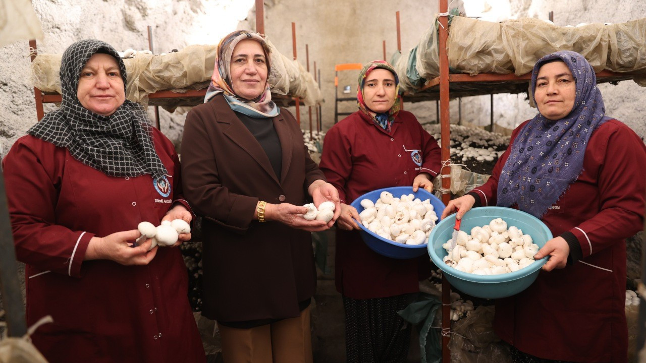 Nevşehir'de kadınlar kurdukları kooperatifle mantar üretiyor