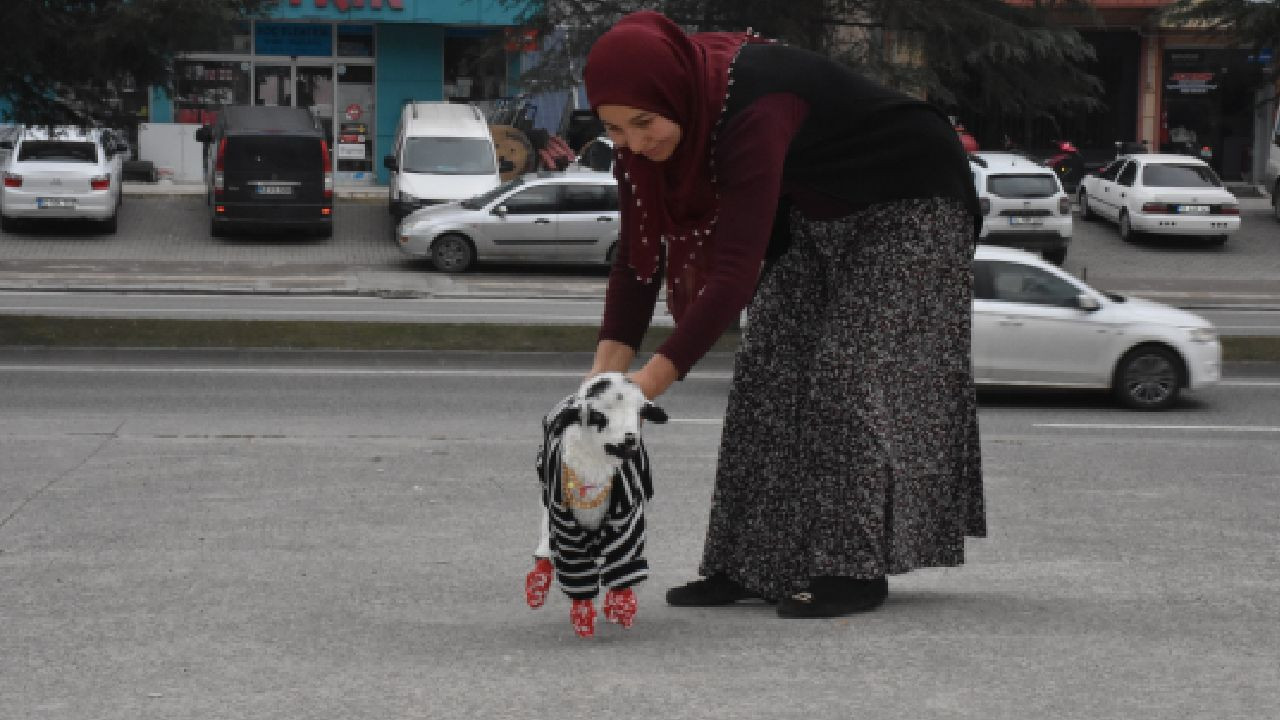 Annesinin emzirmediği kuzuyu eve aldı: 'Beni annesi sanıyor' - Sayfa 4