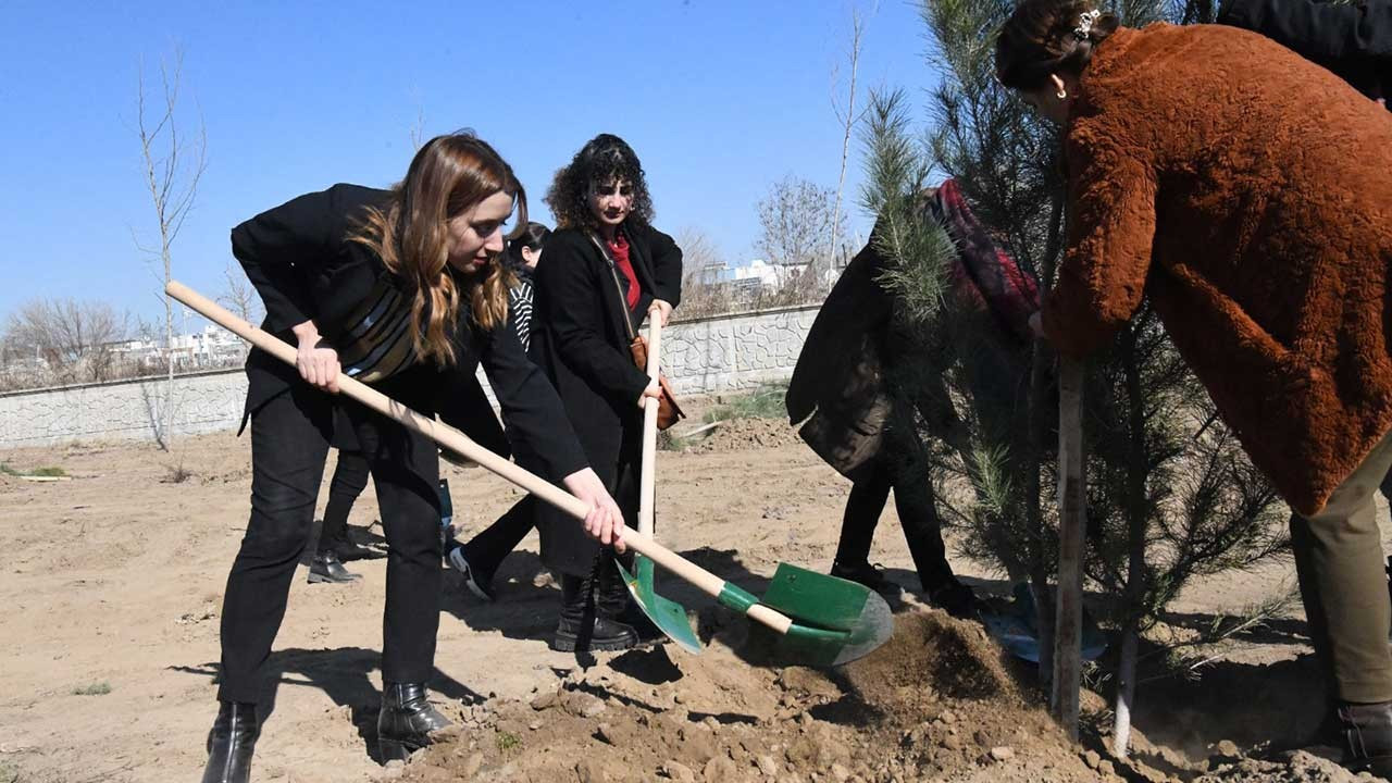 Bismilli kadınlar katledilen kadınların anısına ağaç dikti